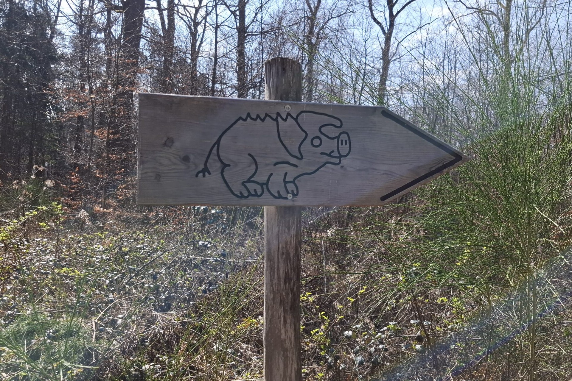 Waldlehrpfad Spessart